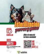 Esterilización de perros y gatos