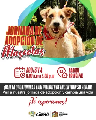 Jornada de adopción de mascotas